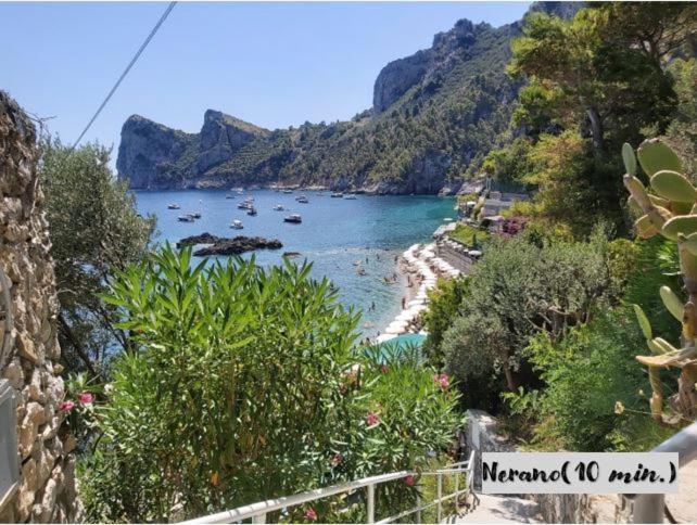 Casa Enrica Βίλα Massa Lubrense Εξωτερικό φωτογραφία